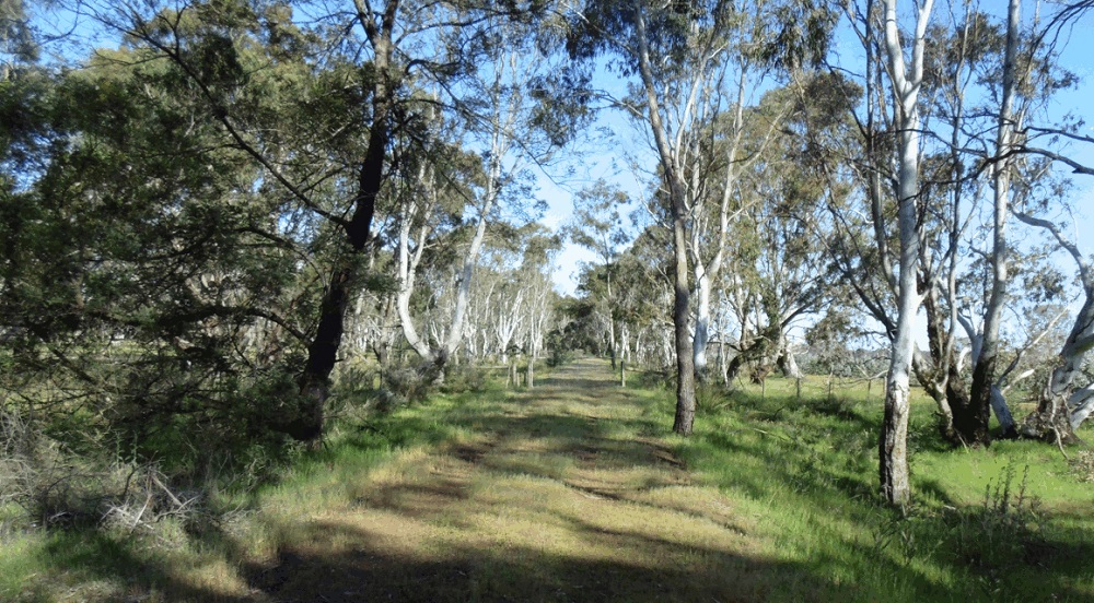 Early Spring (near Sandy Creek)