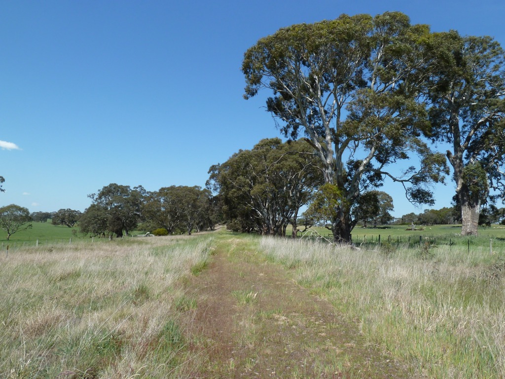 Between MacDonalds Road and Glenelg Highway circa 2011