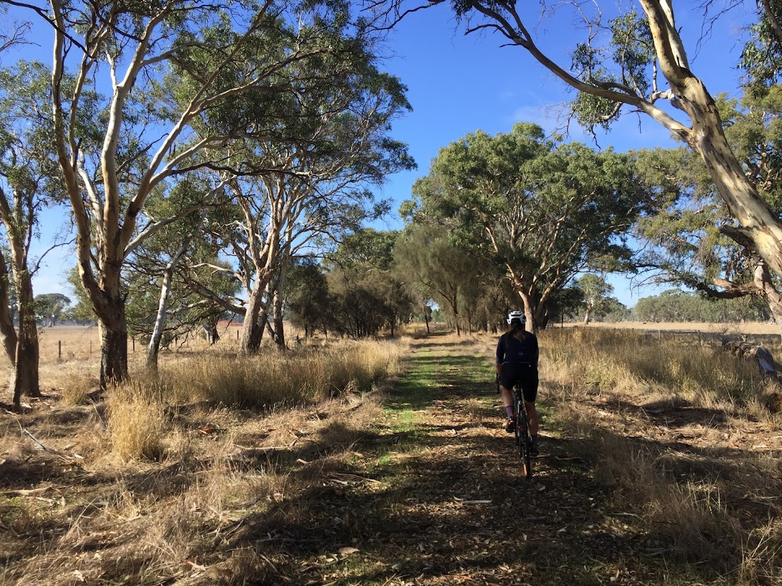Heading South, West of the Highway - <em>(North of The Wannon)</em>  &copy;  G.Turner 